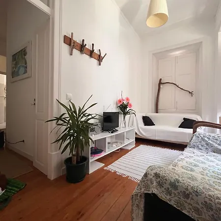 Aiola Guest * Sesimbra